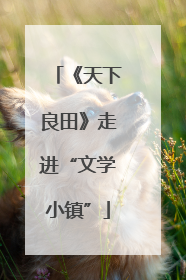《天下良田》走进“文学小镇”