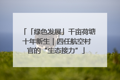 「绿色发展」千亩荷塘 十年新生｜四任航空村官的“生态接力”