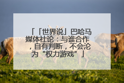 「世界说」巴哈马媒体社论：与谁合作，自有判断，不会沦为“权力游戏”