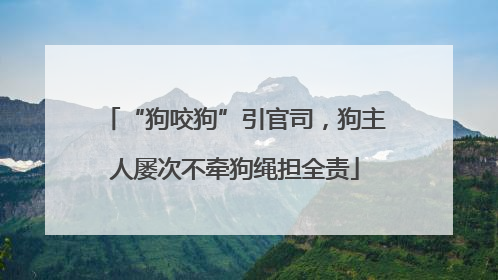 “狗咬狗”引官司，狗主人屡次不牵狗绳担全责