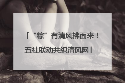 “粽”有清风拂面来！五社联动共织清风网