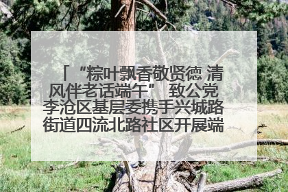 “粽叶飘香敬贤德 清风伴老话端午” 致公党李沧区基层委携手兴城路街道四流北路社区开展端午节主题活动