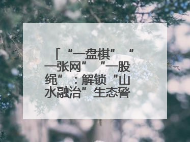 “一盘棋”“一张网”“一股绳”：解锁“山水融治”生态警务“密码”