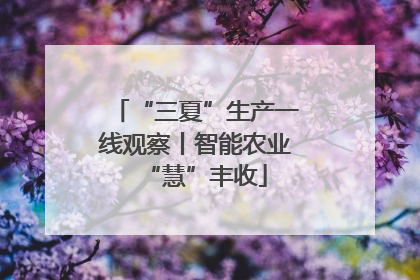 “三夏”生产一线观察丨智能农业“慧”丰收