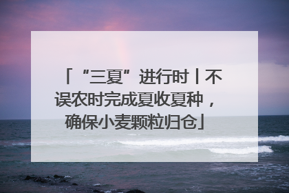 “三夏”进行时丨不误农时完成夏收夏种，确保小麦颗粒归仓