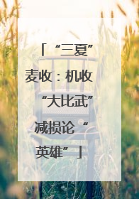 “三夏”麦收：机收“大比武” 减损论“英雄”