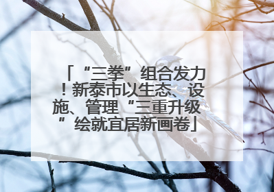“三拳”组合发力！新泰市以生态、设施、管理“三重升级”绘就宜居新画卷