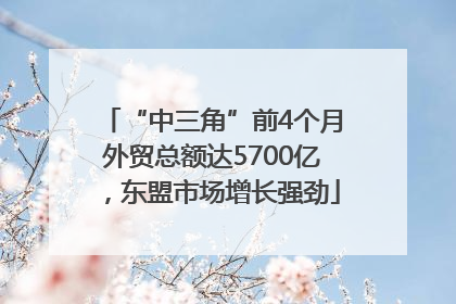 “中三角”前4个月外贸总额达5700亿，东盟市场增长强劲