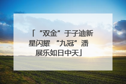 “双金”于子迪新星闪耀 “九冠”潘展乐如日中天