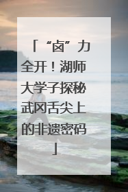 “卤”力全开！湖师大学子探秘武冈舌尖上的非遗密码