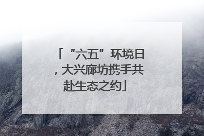 “六五”环境日，大兴廊坊携手共赴生态之约