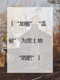 “加餐”“盖被” 为黑土地“增肥”