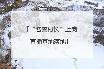 “名誉村长”上岗 直播基地落地