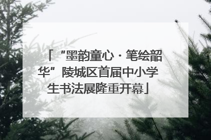 “墨韵童心・笔绘韶华”陵城区首届中小学生书法展隆重开幕