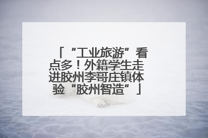 “工业旅游”看点多！外籍学生走进胶州李哥庄镇体验“胶州智造”
