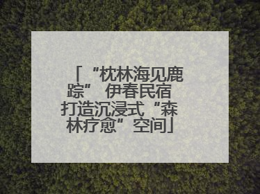 “枕林海见鹿踪” 伊春民宿打造沉浸式“森林疗愈”空间