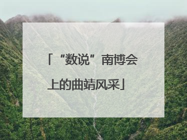 “数说”南博会上的曲靖风采