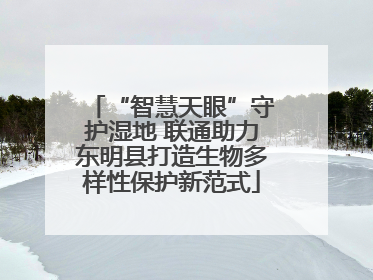 “智慧天眼”守护湿地 联通助力东明县打造生物多样性保护新范式