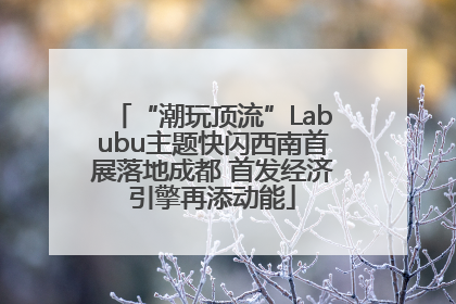 “潮玩顶流”Labubu主题快闪西南首展落地成都 首发经济引擎再添动能
