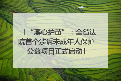“溪心护苗”：全省法院首个涉诉未成年人保护公益项目正式启动