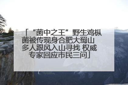 “菌中之王”野生鸡枞菌被传现身合肥大蜀山 多人跟风入山寻找 权威专家回应市民三问