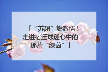 “苏超”燃激情！走进宿迁球迷心中的那片“绿茵”