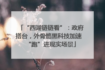 “西湖链链看”：政府搭台，外骨骼黑科技加速“跑”进现实场景