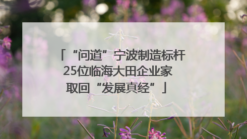 “问道”宁波制造标杆 25位临海大田企业家取回“发展真经”