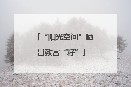 “阳光空间”晒出致富“籽”