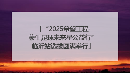 “2025希望工程·蒙牛足球未来星公益行”临沂站选拔圆满举行