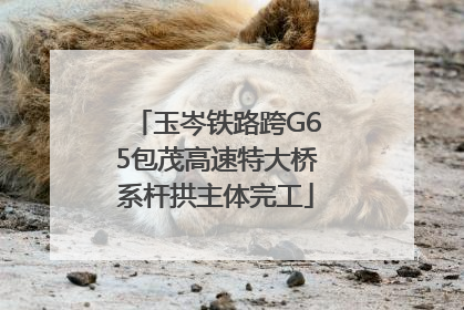 玉岑铁路跨G65包茂高速特大桥系杆拱主体完工