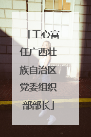 王心富任广西壮族自治区党委组织部部长