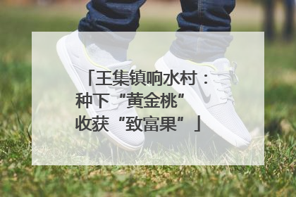 王集镇响水村：种下“黄金桃” 收获“致富果”