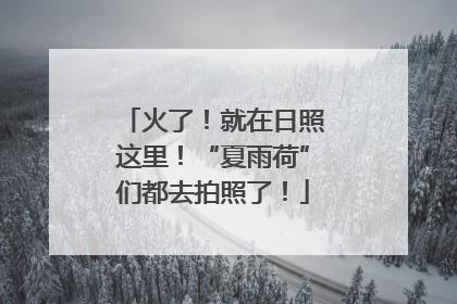 火了！就在日照这里！“夏雨荷”们都去拍照了！