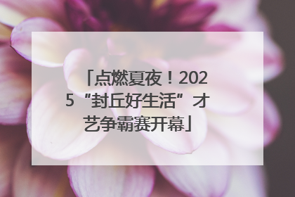 点燃夏夜！2025“封丘好生活”才艺争霸赛开幕
