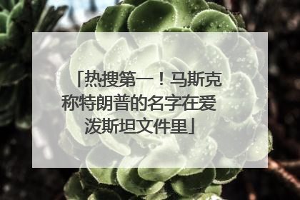 热搜第一！马斯克称特朗普的名字在爱泼斯坦文件里