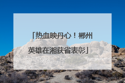 热血映丹心！郴州英雄在湘获省表彰