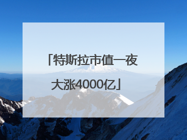 特斯拉市值一夜大涨4000亿
