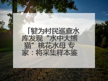 犍为村民巡查水库发现“水中大熊猫”桃花水母 专家：将采集样本鉴定具体种属