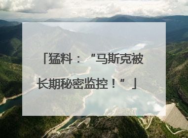猛料：“马斯克被长期秘密监控！”