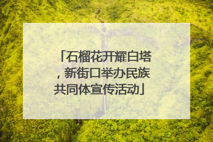 石榴花开耀白塔，新街口举办民族共同体宣传活动