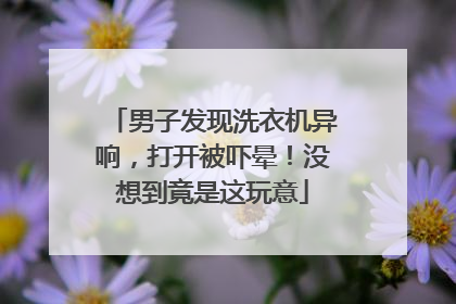 男子发现洗衣机异响，打开被吓晕！没想到竟是这玩意
