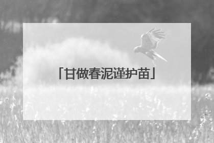 甘做春泥谨护苗