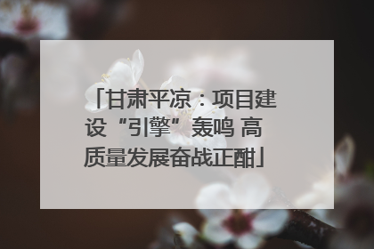 甘肃平凉：项目建设“引擎”轰鸣 高质量发展奋战正酣