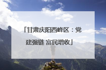 甘肃庆阳西峰区：党建强链 富民增收