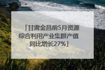 甘肃金昌前5月资源综合利用产业集群产值同比增长27%