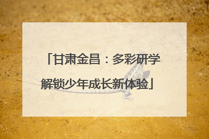 甘肃金昌：多彩研学解锁少年成长新体验