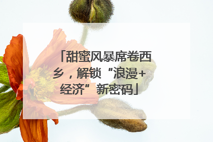 甜蜜风暴席卷西乡，解锁“浪漫+经济”新密码
