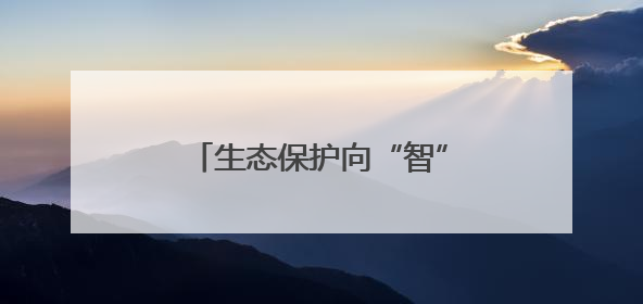 生态保护向“智”向“新” 白海豚有了高科技“保镖”