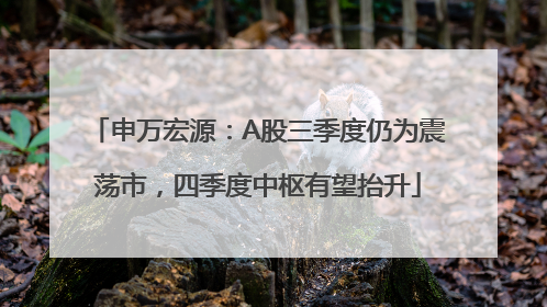 申万宏源：A股三季度仍为震荡市，四季度中枢有望抬升